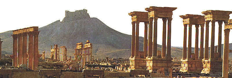 Palmyra